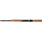 Cпининговe удилище Daiwa Procaster Trout 3м 10-35г (11707-306)