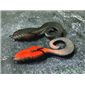 Поролоновая рыбка 901 Dancing tail 3,5 in/ 9см (PR901)
